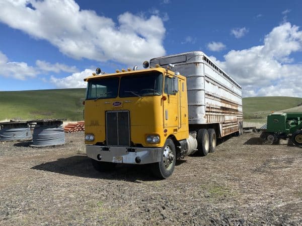 1974 Peterbilt w/1976 40’ Wilson cow trailer