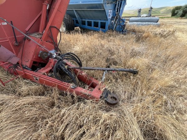 Killbros Grain Cart - Image 2