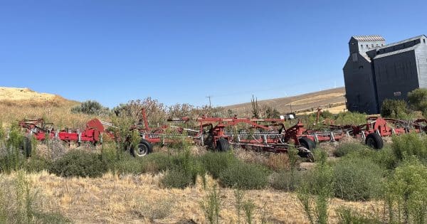 56’ Wil-Rich QuadX cultivator - Image 2