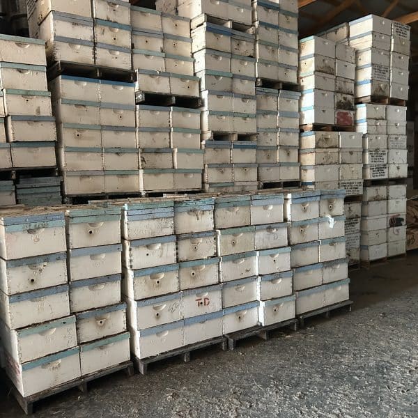 (5000) Bee Boxes